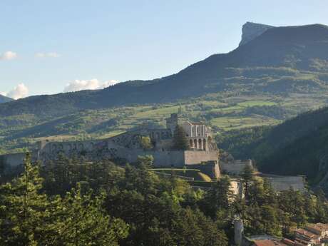 Botanical Trail of the Molard