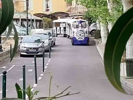 Le petit train des Alpes