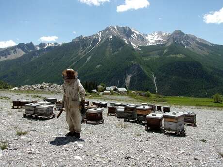 Les Ruchers de Saint-Ours