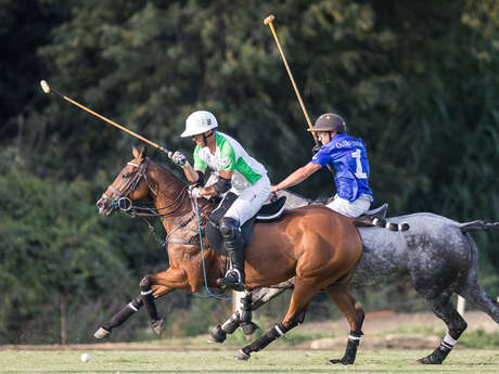 Polo Club Saint-Tropez - Haras de Gassin