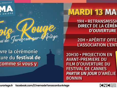 Tapis Rouge au cinéma