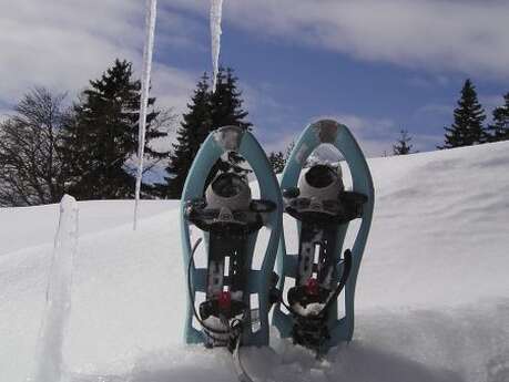 Sortie raquettes :  Le Torbiau