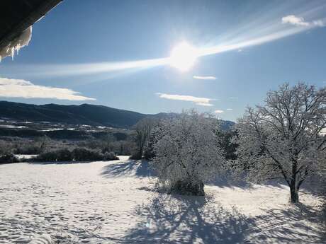 Gîte de l'Ain t'y piques