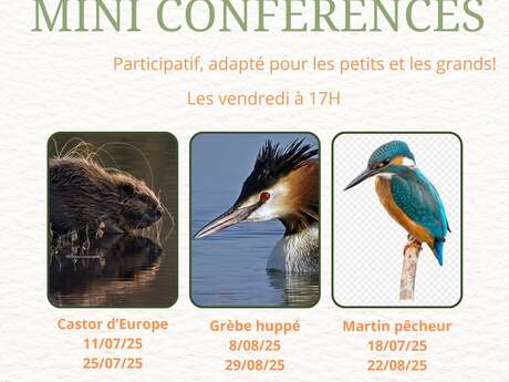 Mini conférences - Musée du Lac d'Aiguebelette