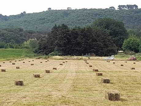 Les jardins d'Aurabelle