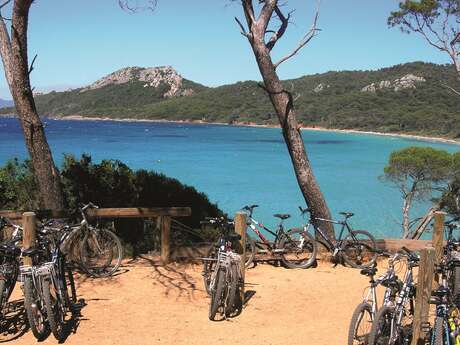 Tagesausflug mit dem Fahrrad nach Porquerolles mit den Bateliers de la Côte d'Azur