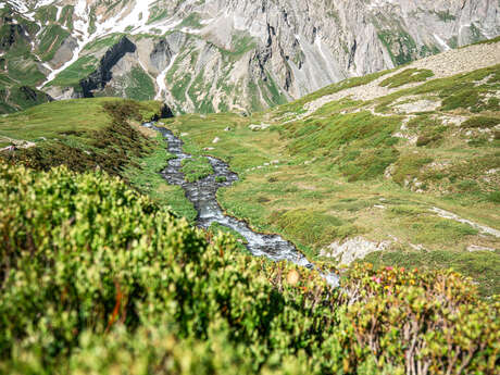 A la découverte de la réserve naturelle