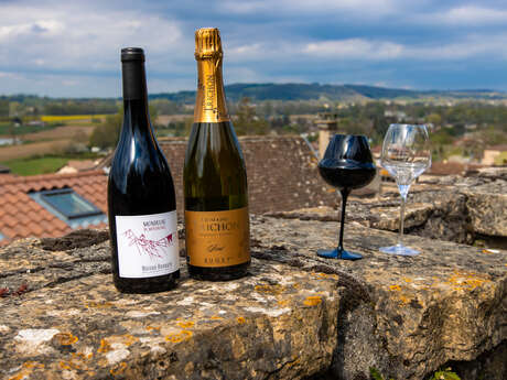 Portes ouvertes du Domaine Trichon, 30e anniversaire