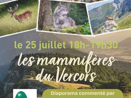 Projection d’un diaporama sur les mammifères du Vercors