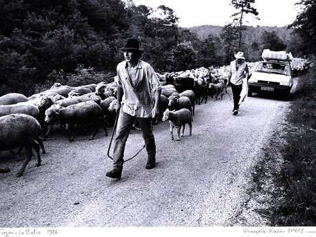 Exposition La Transhumance