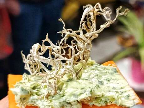 Gourmet walk at the Tours de Merle: Discovering edible wild plants