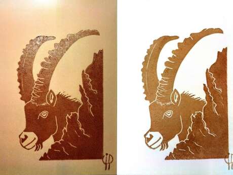 Rêver l'Encre