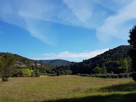 PUGET-SUR-DURANCE - Piémonts et biodiversité en chemin