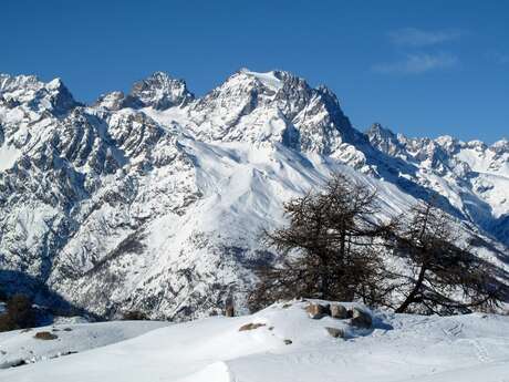 Accompagnateur en Montagne : Astro-Rando