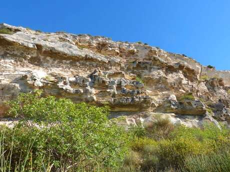 LES BAUX-DE-PROVENCE - Chemin des Trémaïé