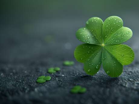 Soirée de la chance