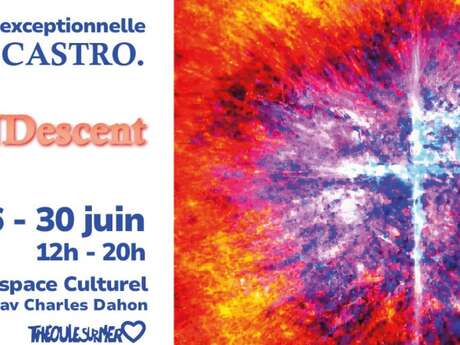 Exposition "Inquandescent" Castro & Co