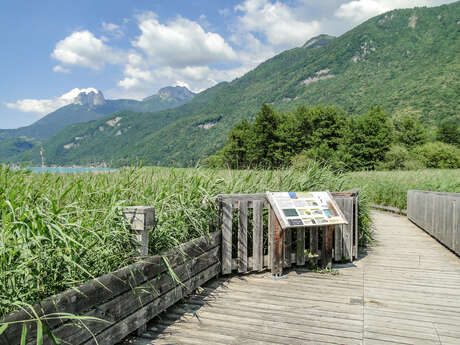 Sentier pédestre de la réserve naturelle du Bout du Lac d'Annecy