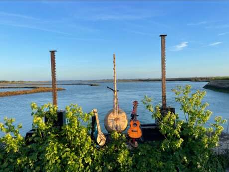 Sortie nature poétique et musicale "La voix du marais" avec Clémentine Mallein.