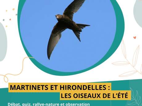 Rallye nature, quiz et observation dans le village : « Les hirondelles et les martinets, oiseaux de l'été »