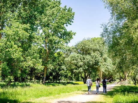 Lac, étang et affluent