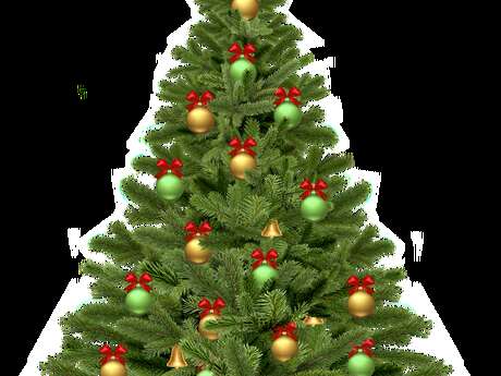 La forêt enchantée