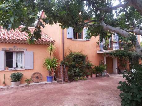 Die Esel von Klein-Jean