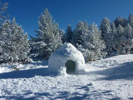 Igloo-building workshop with Angaka