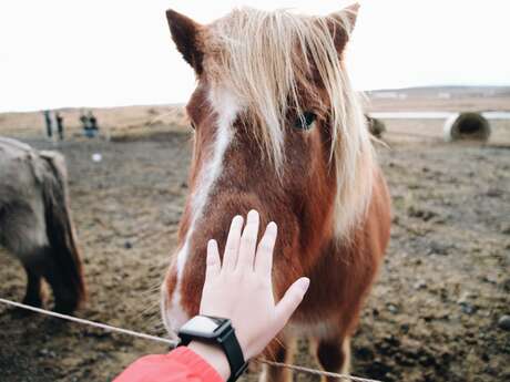 Les écuries de Lamanon