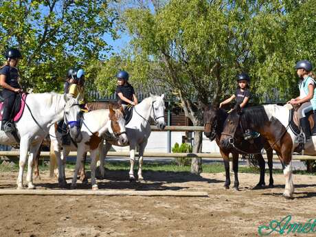 Stages équitation enfants