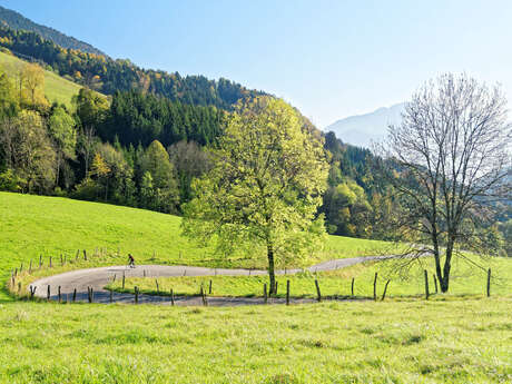 Aller cyclo : Col de la Forclaz versant sud (Montée par Montmin)