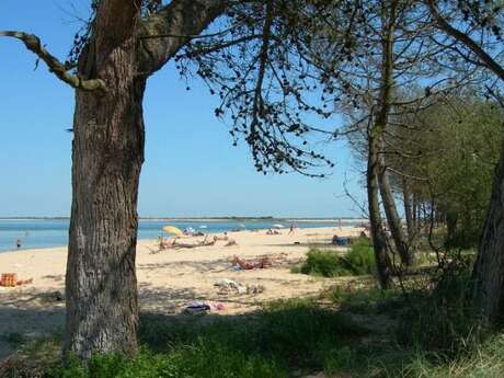 Zona de picnic en el bosque de Trousse Chemise
