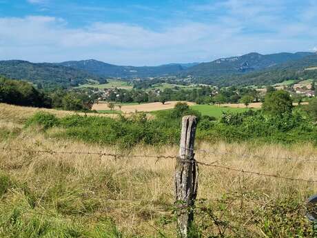 Randonnée - Les hauts de l'Ile Chambod