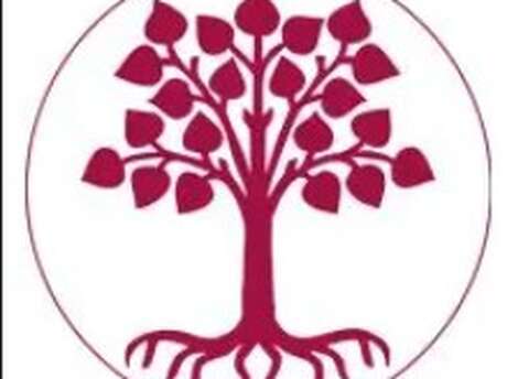 Palestine en éclats