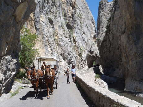 Balade en calèche dans les Clues de Barles avec pique-nique et baignade