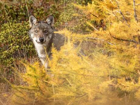 Invitation à Corentin Esmieu, auteur photographe