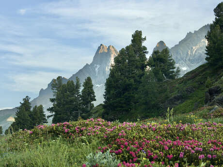 Petite boucle de Laval aux Drayères