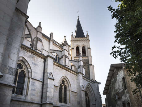 Basilique Saint François de Sales