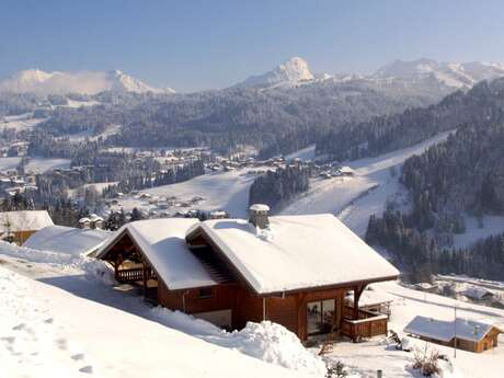 Chalet Sylvestra