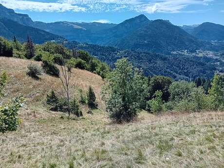 Au pays des pelouses sèches I Rendez-vous Nature en Savoie