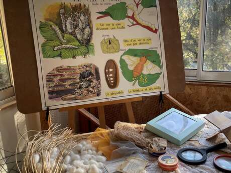 Au fil de la soie à Grambois