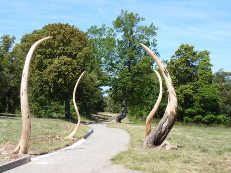 Itinéraire pédestre "Les chemins de Bellevue"