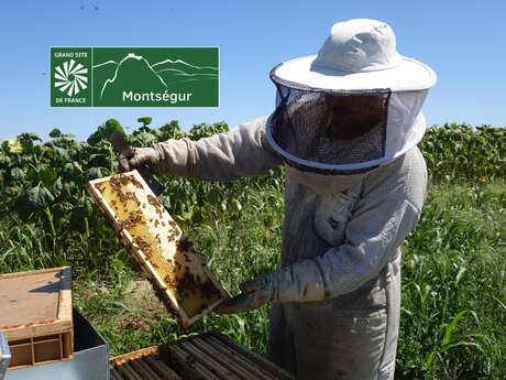 Journée des abeilles et des pollinisateurs