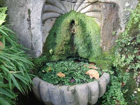 La Fontaine du Parc des Cordeliers d'Anduze