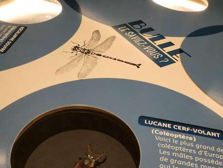 Fête de la science à l'écomusée