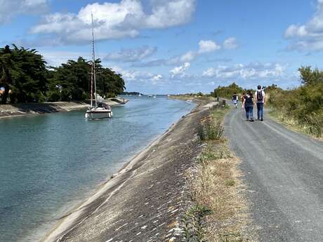 Accessible walks in Ars-en-Ré