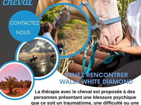 Mediatisierte Therapie durch das Pferd von den Pferdeställen "Les écuries du Moulin Moreau".