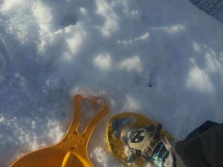 Aventure igloo, chasse au trésor et trappeur avec Anne Zanolin