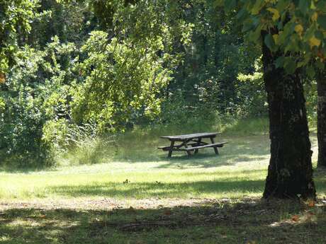 Aire de pique-nique du Vieil Eyguians