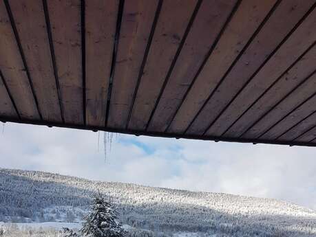 Le crêt de la Neige - L'Olivine